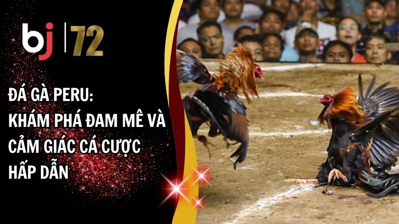 Đá gà Peru: Khám Phá Đam Mê và Cảm Giác Cá Cược Hấp Dẫn