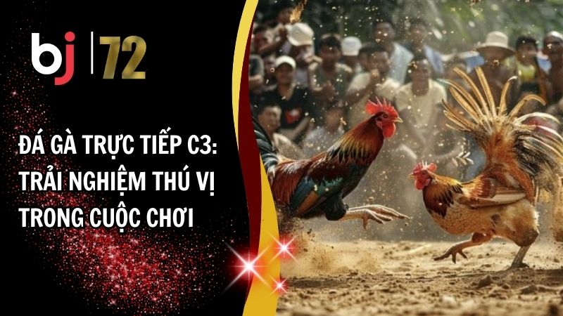 Đá Gà Trực Tiếp C3: Trải Nghiệm Thú Vị Trong Cuộc Chơi