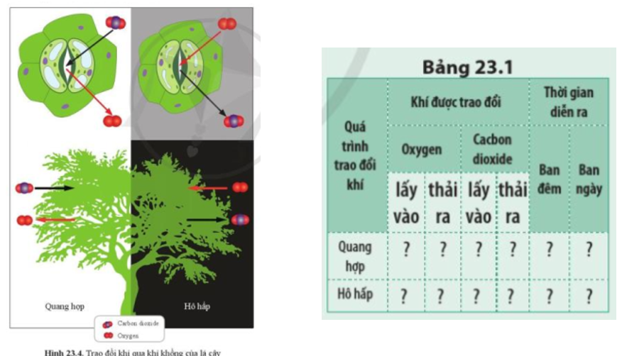 Cách theo dõi và phân tích kèo thể thao hiệu quả trên bj72 - Bí quyết gia tăng tỷ lệ thắng cược
