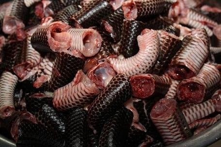 Kèo nhà cái BJ72 - Cách Thức Dễ Dàng Để Tham Gia Cược Thể Thao Hiện Đại