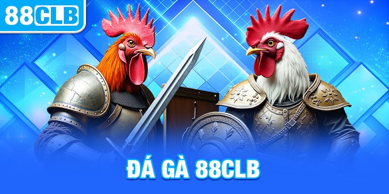 So sánh đá gà online tại bj72 với các nền tảng khác trên thị trường - Tìm hiểu sự khác biệt và lợi ích